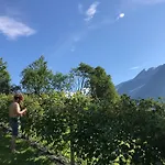 Cozy Yurt On Regenerative Farm Роскошный шатер *
