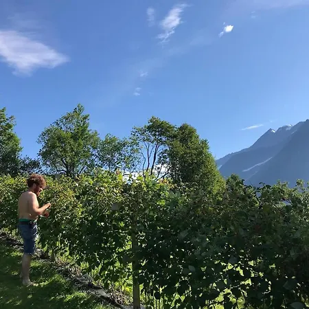 Cozy Yurt On Regenerative Farm خيمة فخمة *