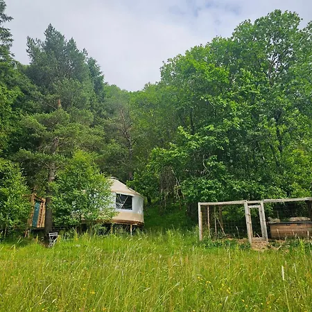 Cozy Yurt On Regenerative Farm *