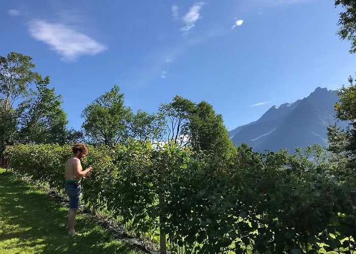 Cozy Yurt On Regenerative Farm Luxuszelt *