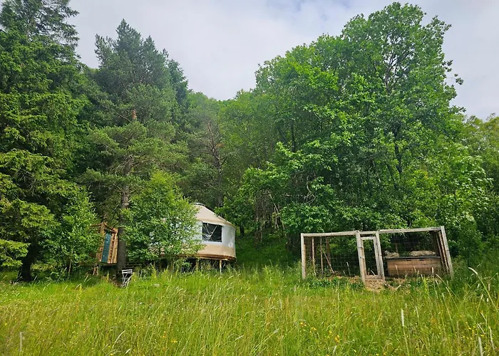 Cozy Yurt On Regenerative Farm *